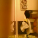 A hidden camera records a woman peeing on a toilet, then wiping herself.